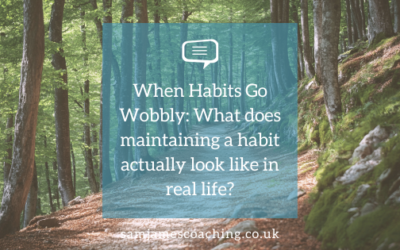 When Habits Go Wobbly: What does maintaining a habit actually look like in real life?