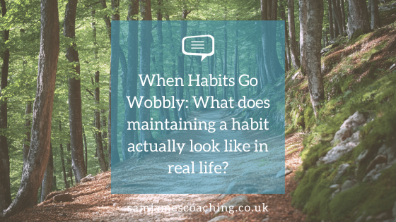 Blog Header When Habits Go Wobbly Woodland path with the title “When Habits Go Wobbly: What does maintaining a habit actually look like in real life?”